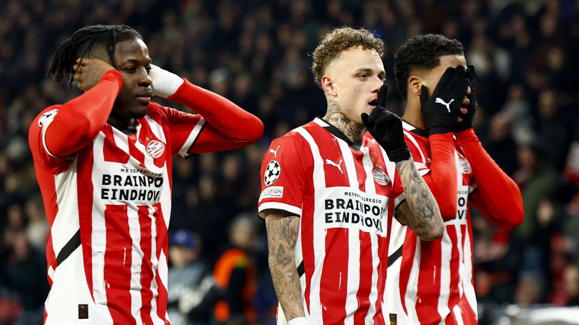 这一案例无 这一案例无